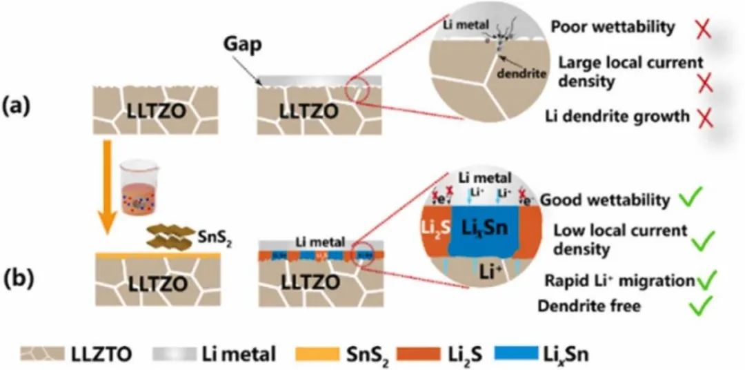 張久俊院士/蔣永Nano Energy：低成本快速實(shí)現(xiàn)高性能石榴石基固態(tài)鋰金屬電池