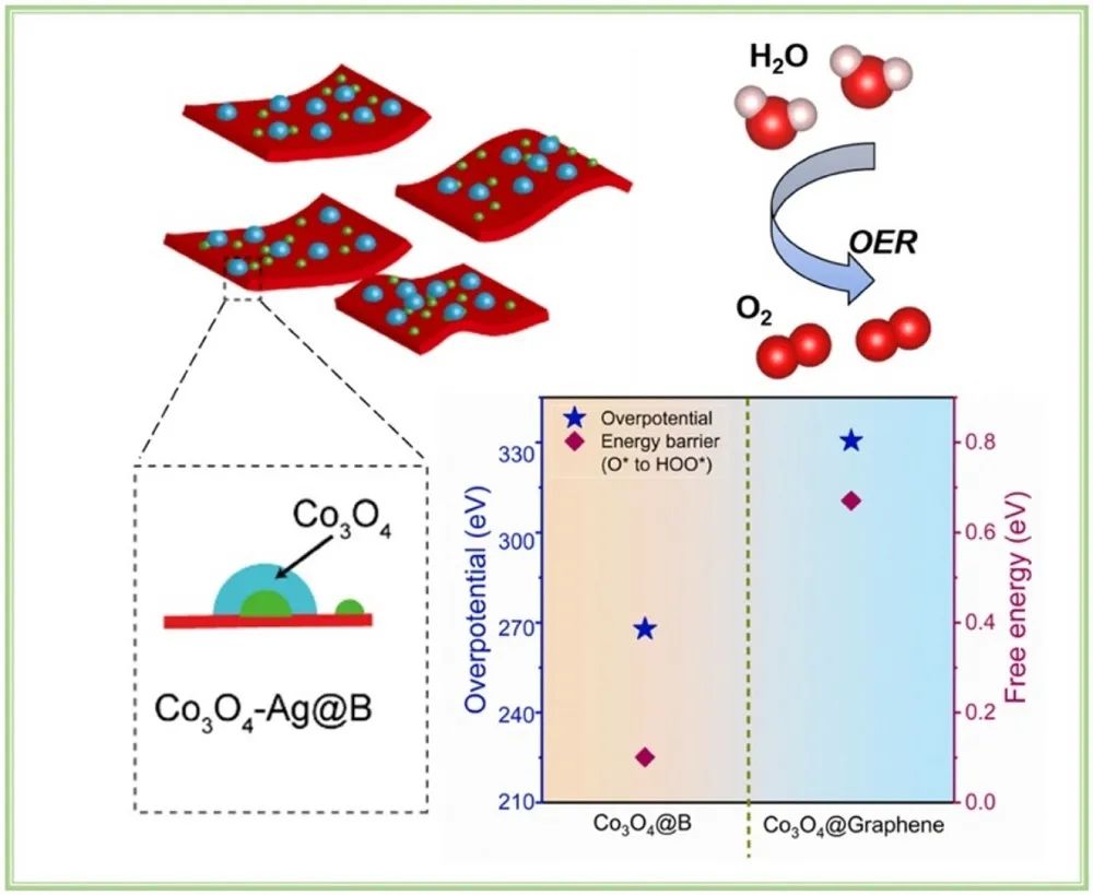 深大Appl. Catal. B.：Ag納米粒子修飾硼烯負(fù)載Co3O4催化劑助力OER