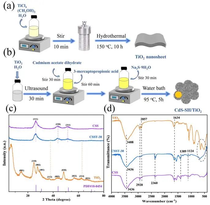 ?長(zhǎng)安大學(xué)ACS Catalysis：CdS-SH/TiO2異質(zhì)結(jié)助力木質(zhì)素中C-O鍵斷裂