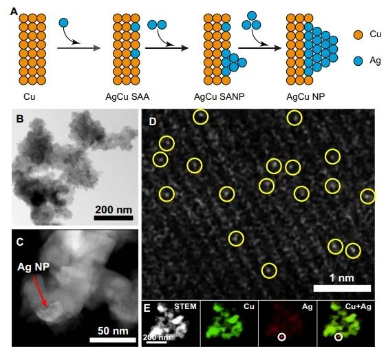 ?催化頂刊集錦：Nature子刊、Angew、AFM、ACS Nano、ACS Energy Lett.等成果