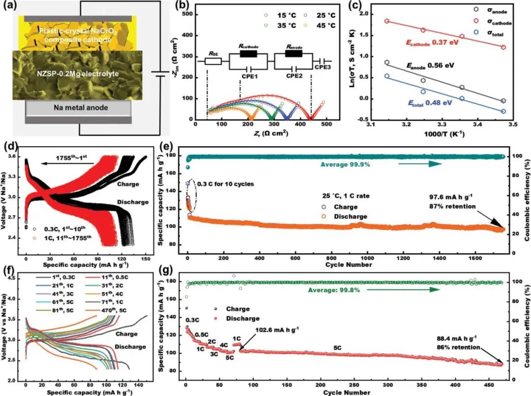 ?電池頂刊集錦！EES、AEM、AFM、JACS、ACS Nano、Small等最新成果速覽