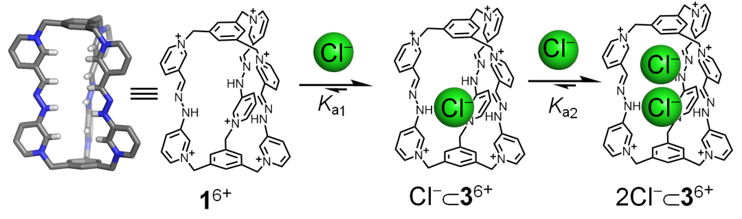 浙江大學李昊研究組JACS：兩個同種電荷的離子到底可以走得多近？