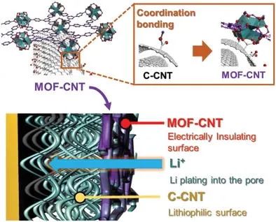 德州農(nóng)工大學(xué)AFM: 多孔碳納米管支架MOF層的鍍鋰調(diào)節(jié)實(shí)現(xiàn)大累積容量