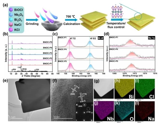 ?催化頂刊集錦：Nature子刊、Angew、AFM、ACS Nano、ACS Energy Lett.等成果