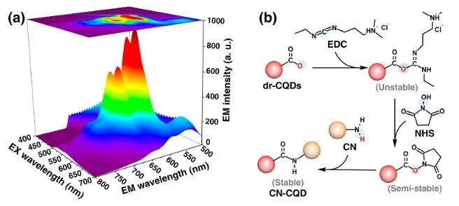 ?催化頂刊集錦：Nature子刊、Angew、AFM、ACS Nano、ACS Energy Lett.等成果