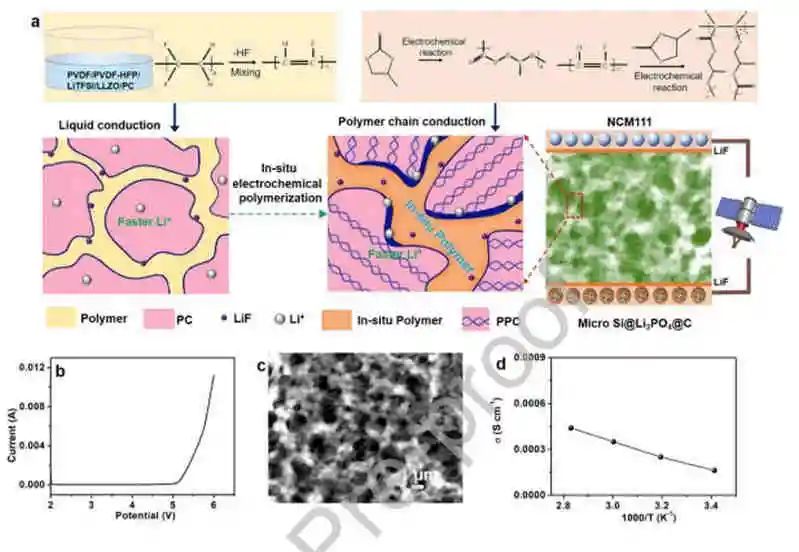 電池頂刊集錦：AFM、AM、ACS Energy Lett.、EnSM、Nano Lett.、Nano Energy等