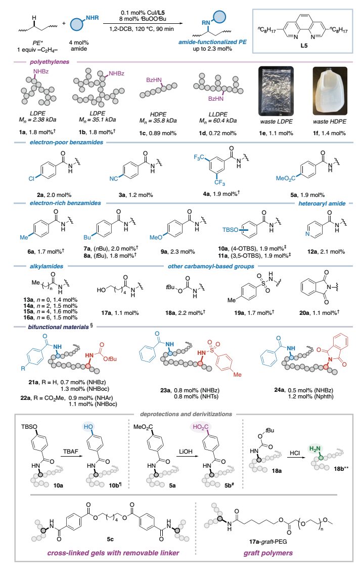 里程碑式突破！最簡單的高分子，再登Science！