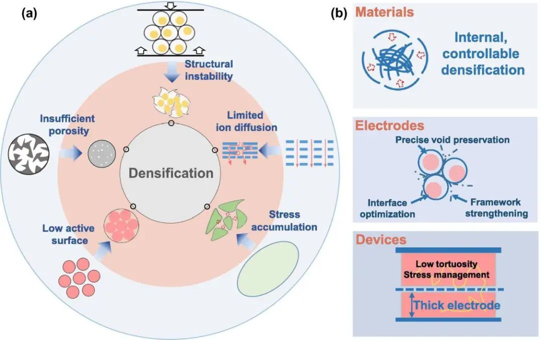 電池頂刊集錦：Mater. Today/AFM/JACS/Adv. Sci./EnSM/Nano Lett.等成果速遞