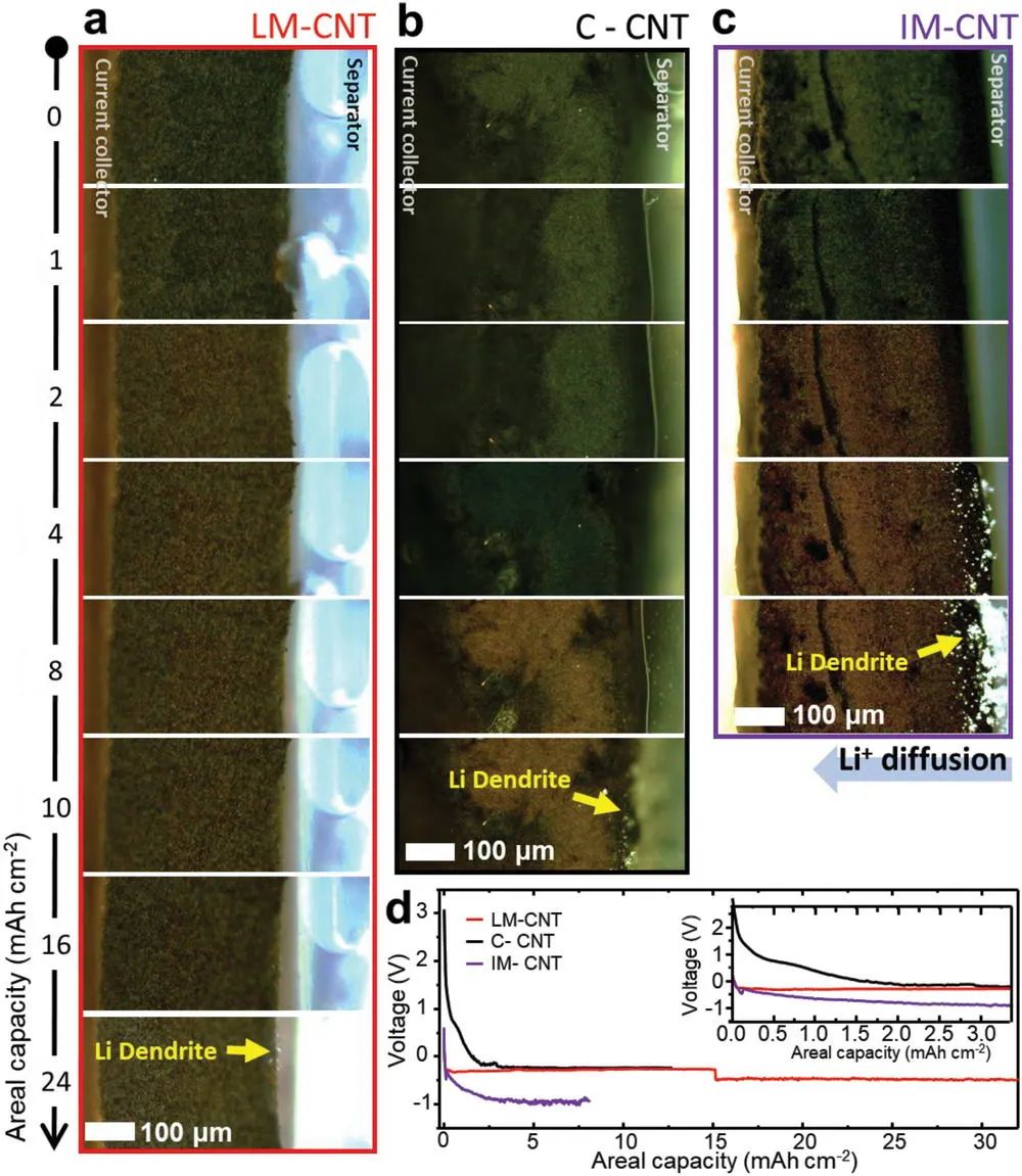 德州農(nóng)工大學(xué)AFM: 多孔碳納米管支架MOF層的鍍鋰調(diào)節(jié)實(shí)現(xiàn)大累積容量