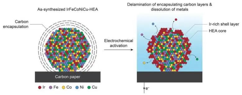 催化頂刊集錦：JACS、EES、Angew.、Chem、AFM、ACS Nano、ACS Catal.等成果