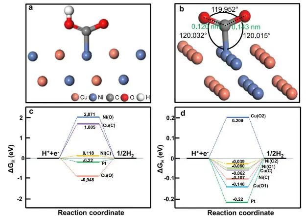 催化頂刊集錦：Nature子刊、JACS、Angew.、AFM、Nano Letters、ACS Catal.等成果