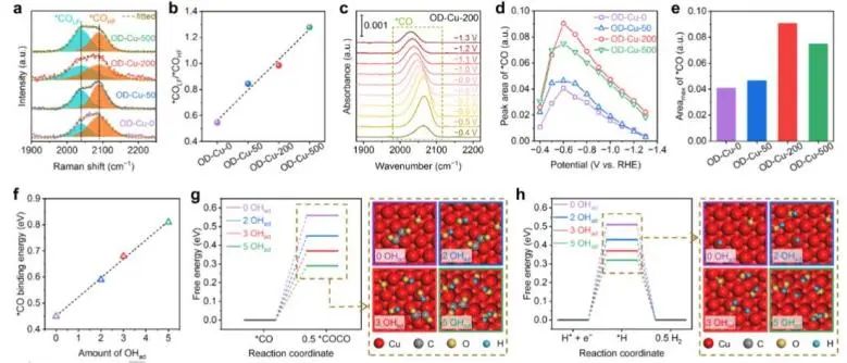 催化頂刊集錦：Nature子刊、JACS、Angew.、AFM、Nano Letters、ACS Catal.等成果