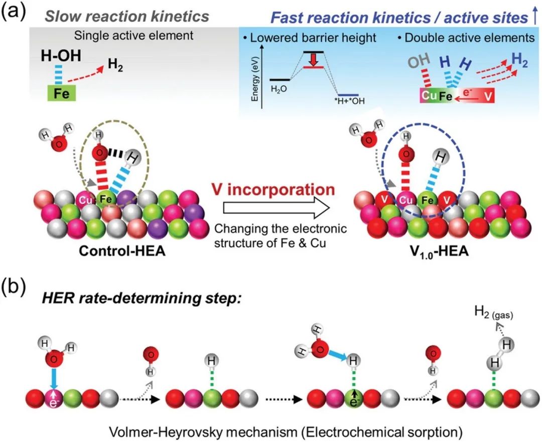 催化頂刊合集：EES、AM、AFM、Adv. Sci.、Small、JEM、CEJ等成果！