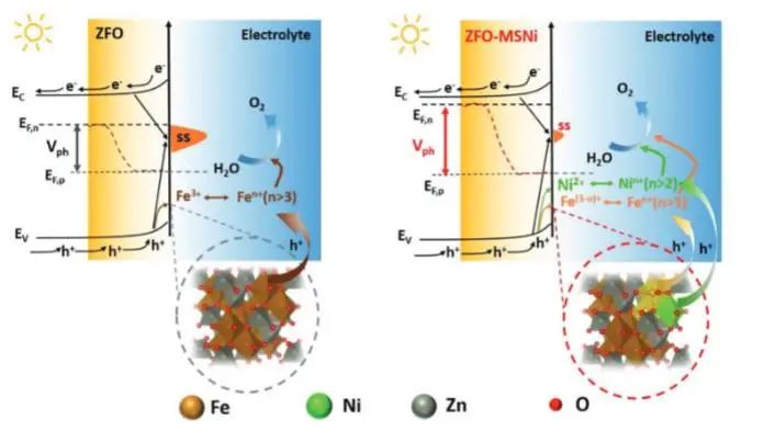 鮑駿/朱曉娣Adv. Sci.：ZnFe2O4上構建Ni?Fe雙活性中心，高效促進光電化學水氧化