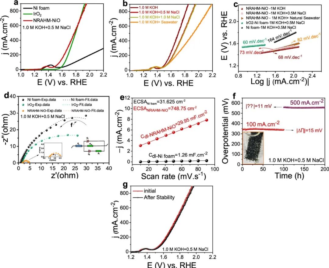 催化頂刊合集：JACS、ACS Catalysis、AM、AEM、CEJ、Small等成果！