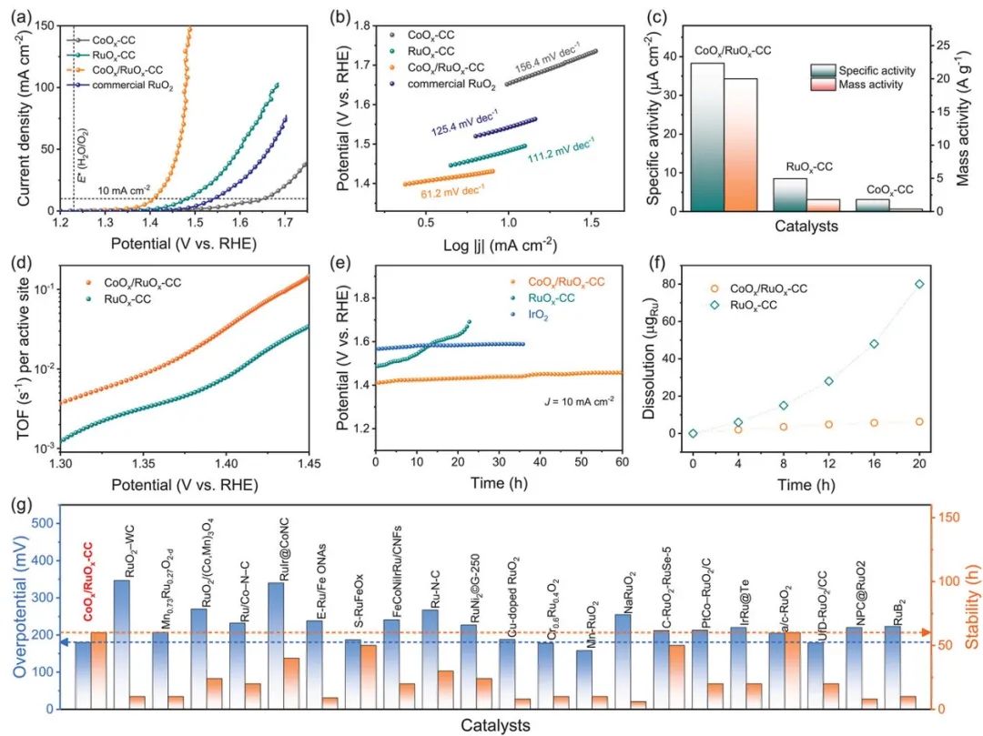 八篇催化頂刊：AM、AFM、EES、ACS Nano、Small、Appl. Catal. B等成果