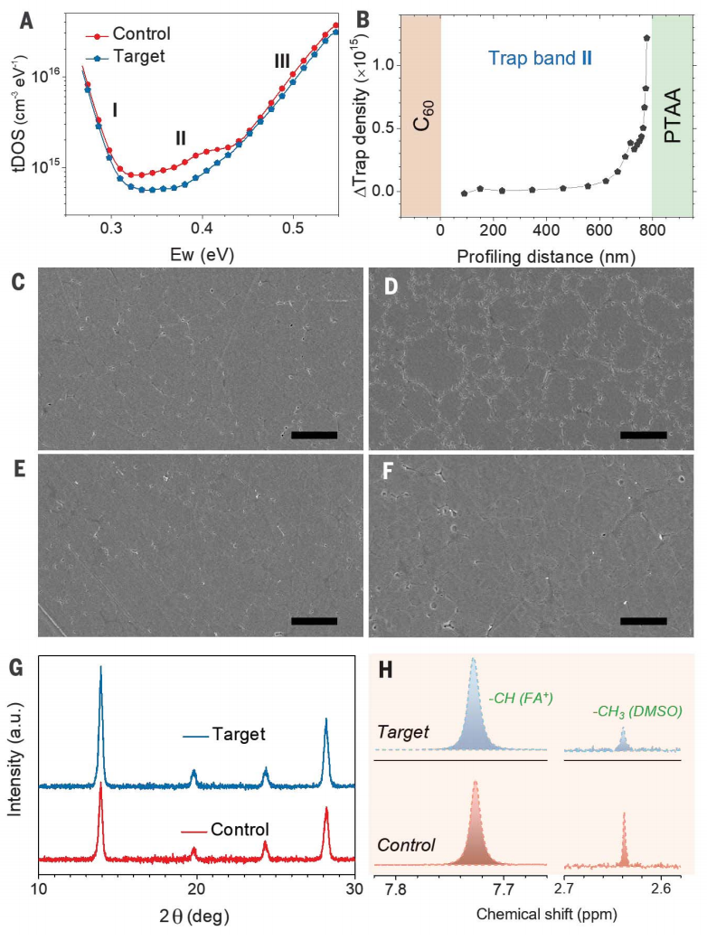 黃勁松教授，最新重磅Science！