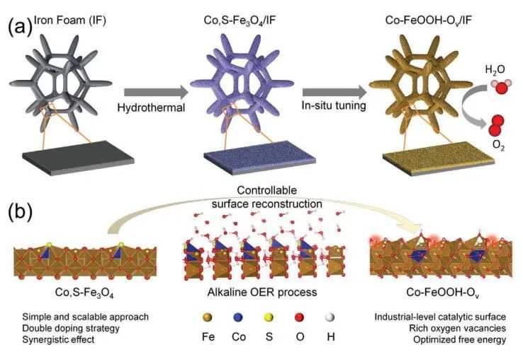 董斌/柴永明Small：Co, S-Fe3O4/IF高效催化OER