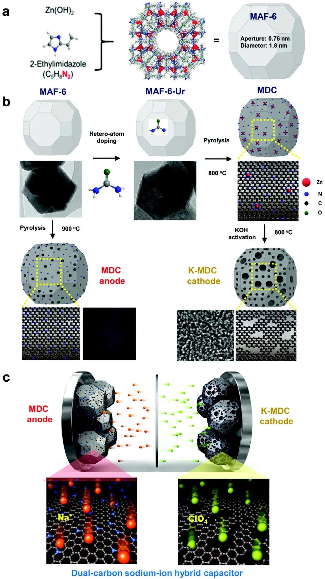 ?Adv. Sci.：三維多孔氧氮摻雜石墨碳作為高性能正極和負(fù)極材料