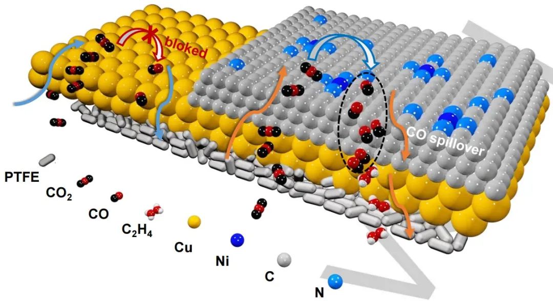 計算+實驗頂刊集錦：Angew、AM、AFM、ACS Catalysis、Small等成果精選！