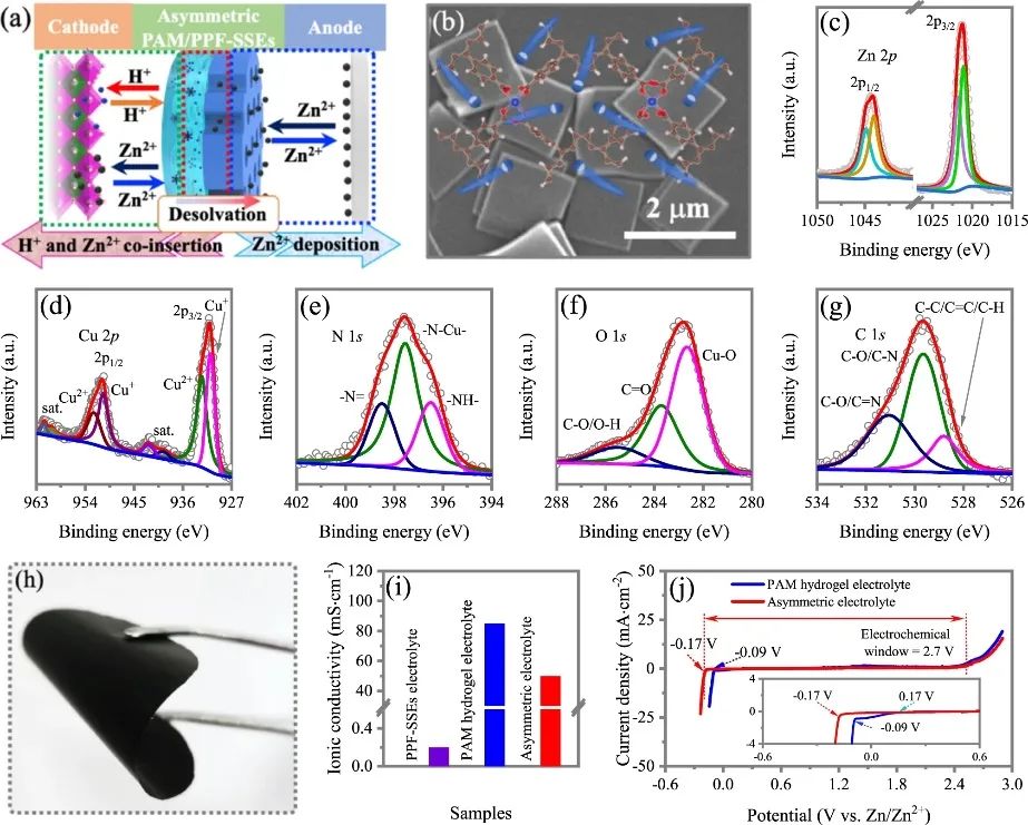 支春義教授團隊，最新Nature子刊！