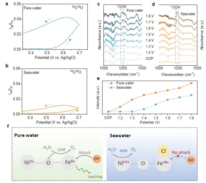 催化頂刊速遞：Nature Catalysis、EES、Nature子刊、Angew、Sci. Adv.、ACS Nano等成果