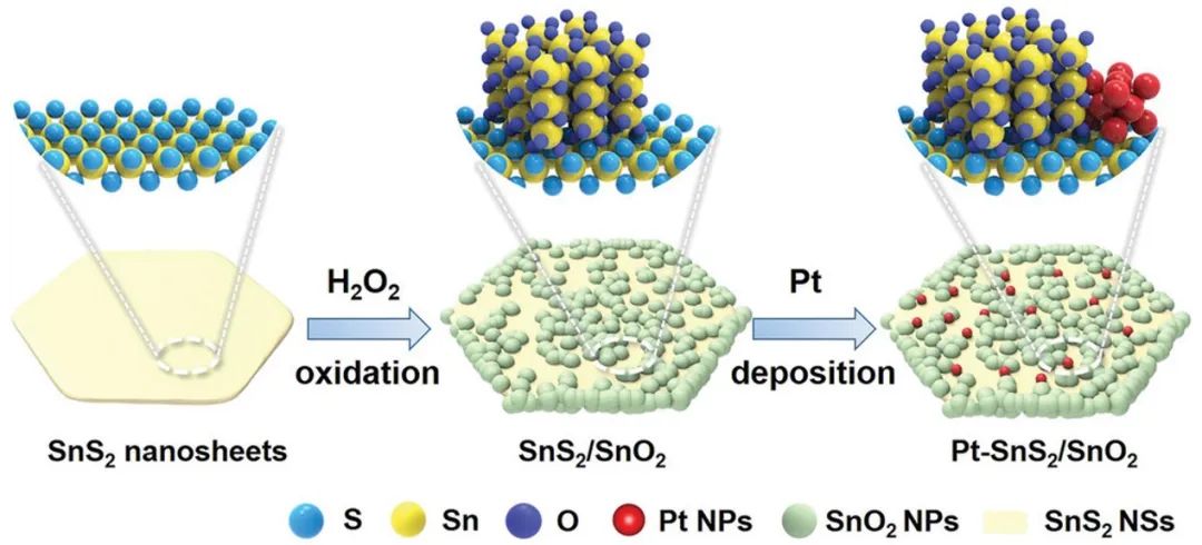 催化頂刊集錦：AFM、JACS、Adv. Sci.、ACS Nano、JMCA、CEJ等成果