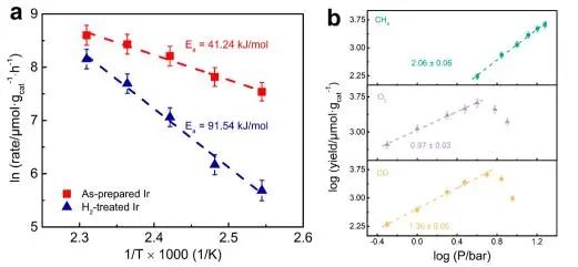 催化頂刊集錦：JACS、Angew.、AM、Nano Energy、ACS Catalysis、Small等成果