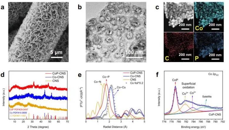 催化頂刊集錦：JACS、Nat. Commun.、AFM、ACS Catal.、Adv. Sci.、Small等