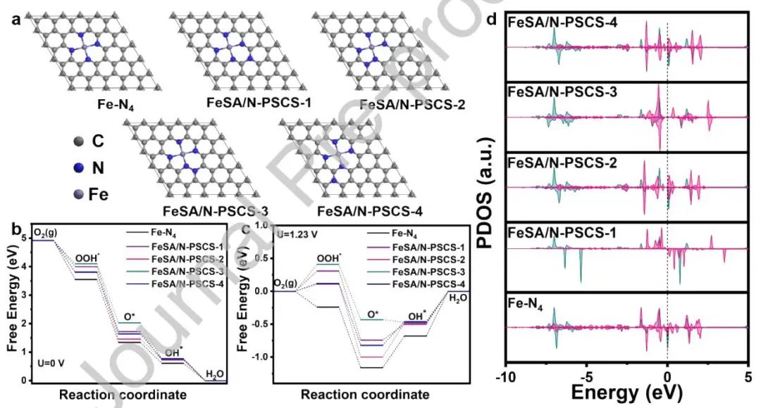 段超/李季/沈夢霞EnSM：FeSA/N-PSCS助力ORR和Zn-空氣電池