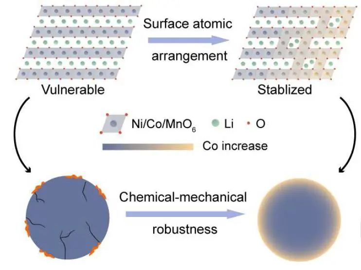 郭玉國Angew.：基于表面原子排列控制的單晶高鎳正極化學(xué)-機械耦合穩(wěn)定性研究