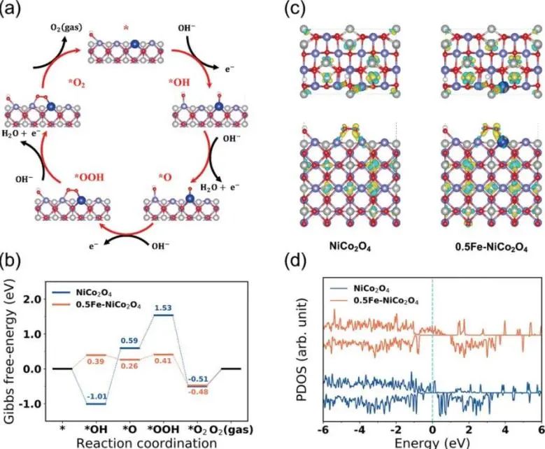 8篇催化頂刊：JACS、ML、JMCA、Small Methods、Small、Appl. Catal. B.等成果