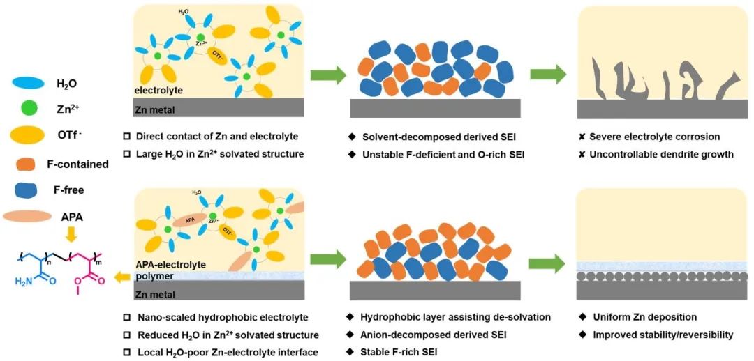 電池頂刊集錦：EES、Adv. Sci.、Angew、AEM、AFM、ACS Nano、Nano Energy等成果！