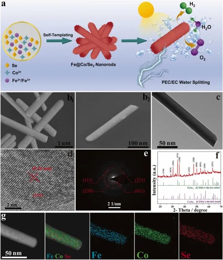 8篇催化頂刊：Angew.、AFM、Small、Chem. Eng. J.、ACS Catal.等最新成果