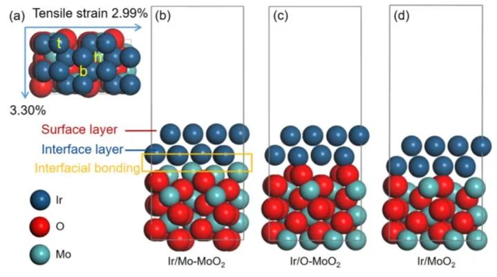 8篇催化頂刊：Angew.、AFM、ACS Catal.、Small、Adv. Sci.等最新成果