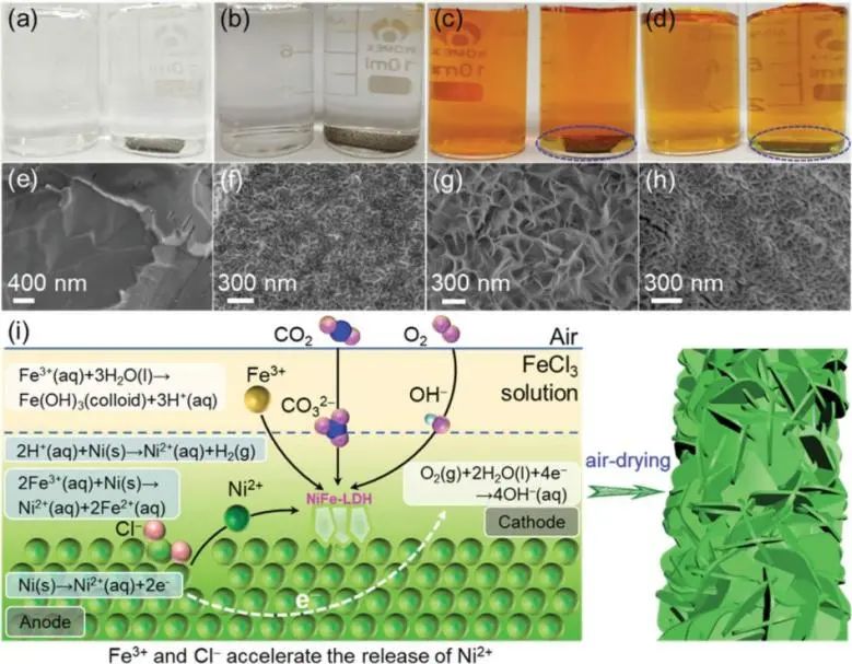 8篇催化頂刊：Nat. Commun.、ACS Energy Lett.、Small、Nano Lett.、ACS Catal.