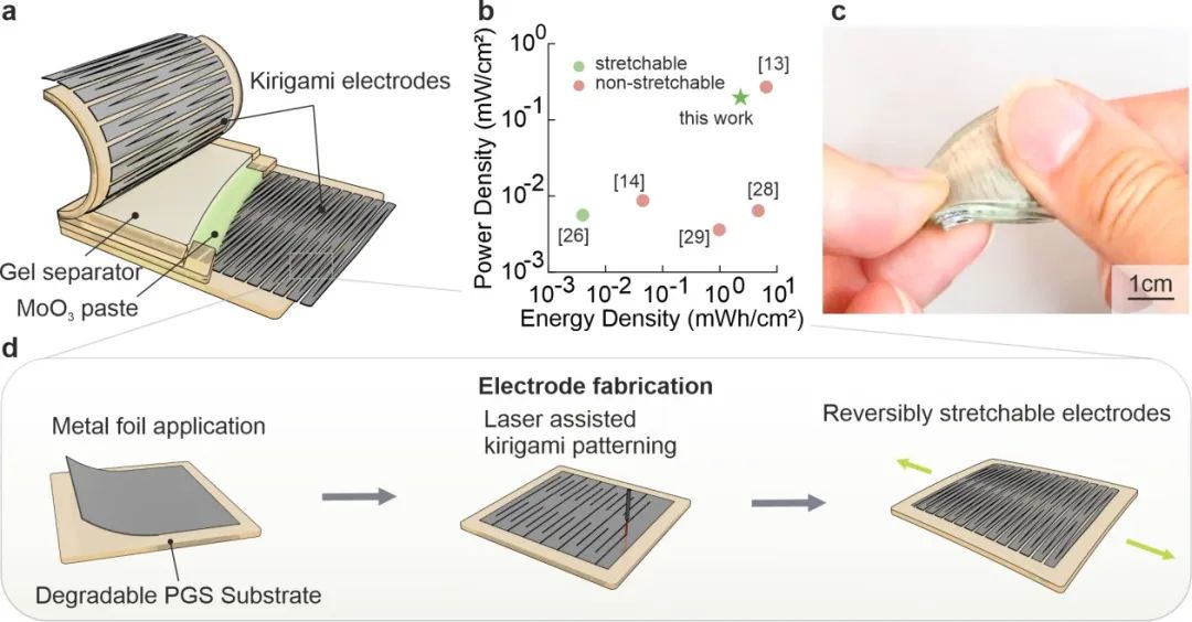 AM：兼具高能量/功率密度的可拉伸生物降解電池!