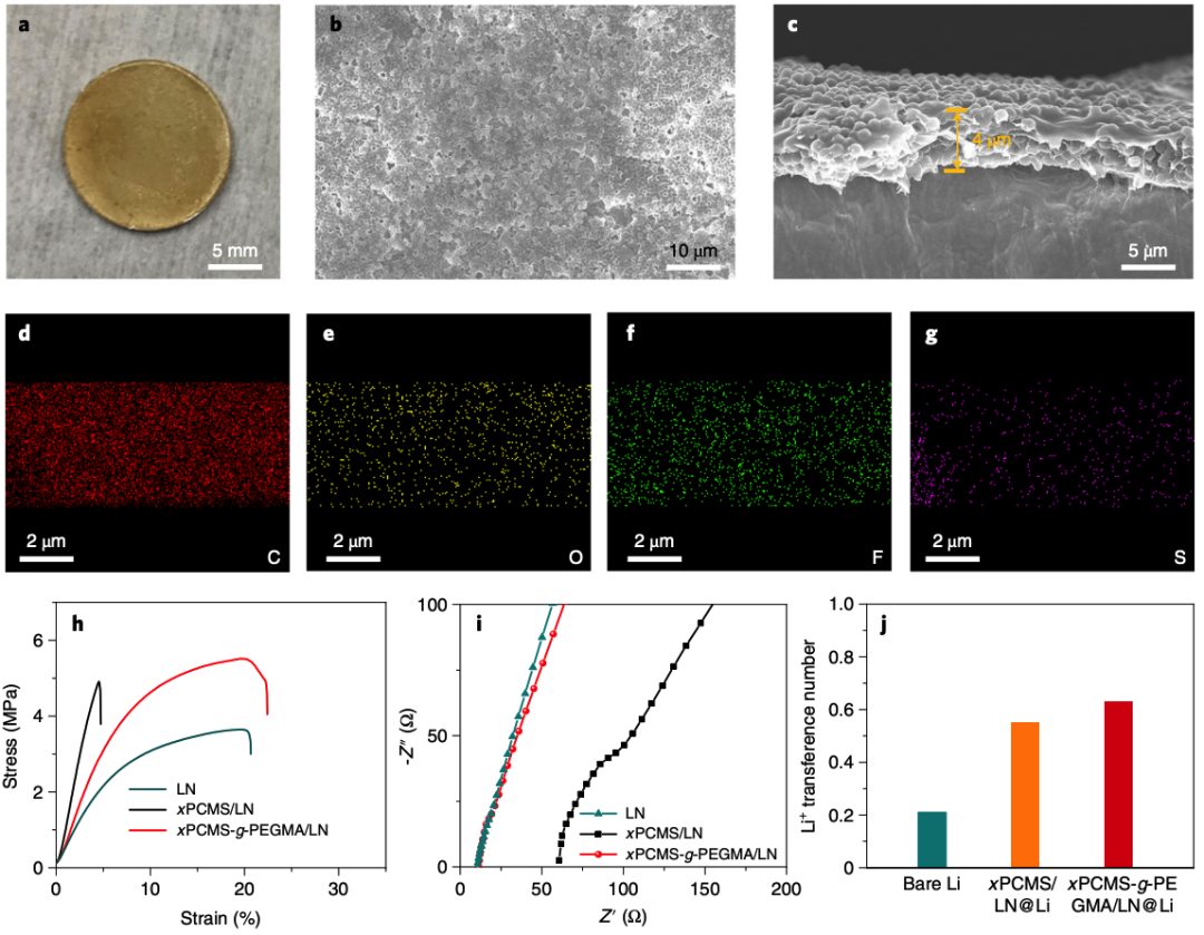 中山大學(xué)Nat. Nanotechnol.，剛?cè)岵?jì)另一種玩法！全有機(jī)鋰保護(hù)層！