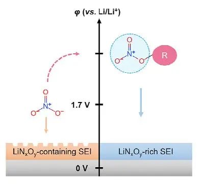 清華大學(xué)張強(qiáng)Angew：硝酸根離子的修飾使鋰金屬電池實(shí)現(xiàn)穩(wěn)定的SEI