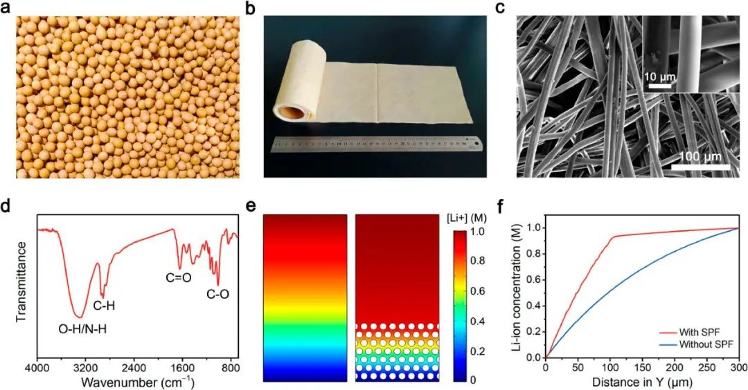 浙工大陶新永Nano Letters：穩(wěn)定鋰金屬電池的基于大豆蛋白纖維的人工SEI