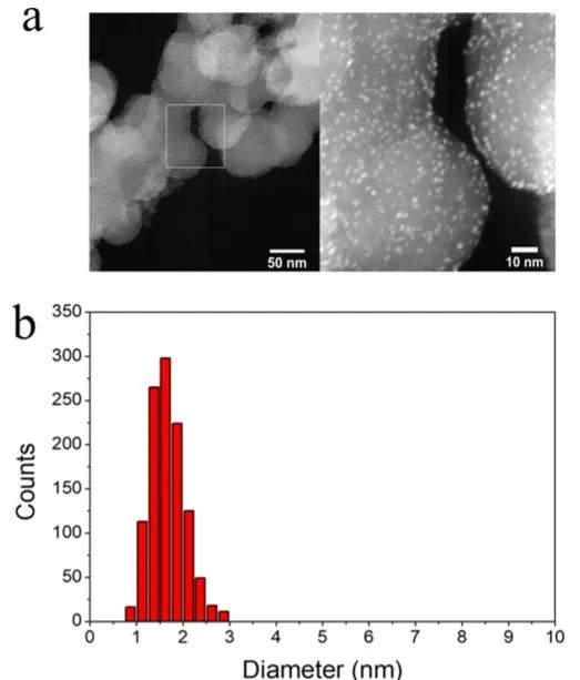 ACS Catalysis：二芐基二硫代氨基甲酸酯官能化的Au納米顆粒用于將CO2電化學還原為CO