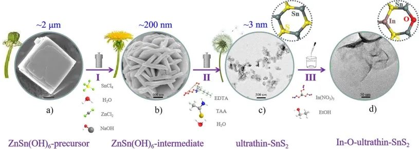 中科院劉立成Chem. Eng. J.: 調(diào)控In-O-ultrathin-SnS2納米片促進(jìn)高效CO2電還原