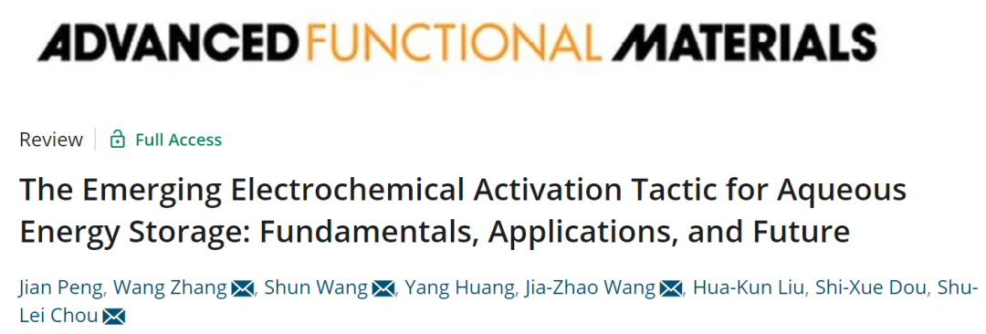 侴術雷/王舜/張旺/王佳兆AFM: 水系儲能新興電化學活化策略研究進展