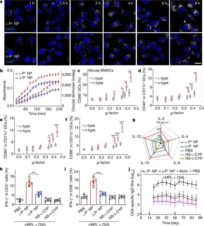 歷史性突破！江南大學(xué)最新Nature！