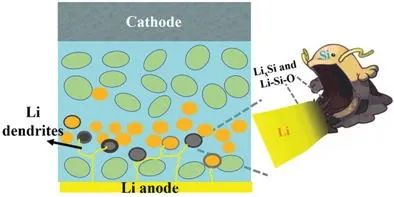 林應(yīng)斌/洪振生Adv. Sci.: Si納米顆粒鋰化吞噬全固態(tài)電池中的鋰枝晶