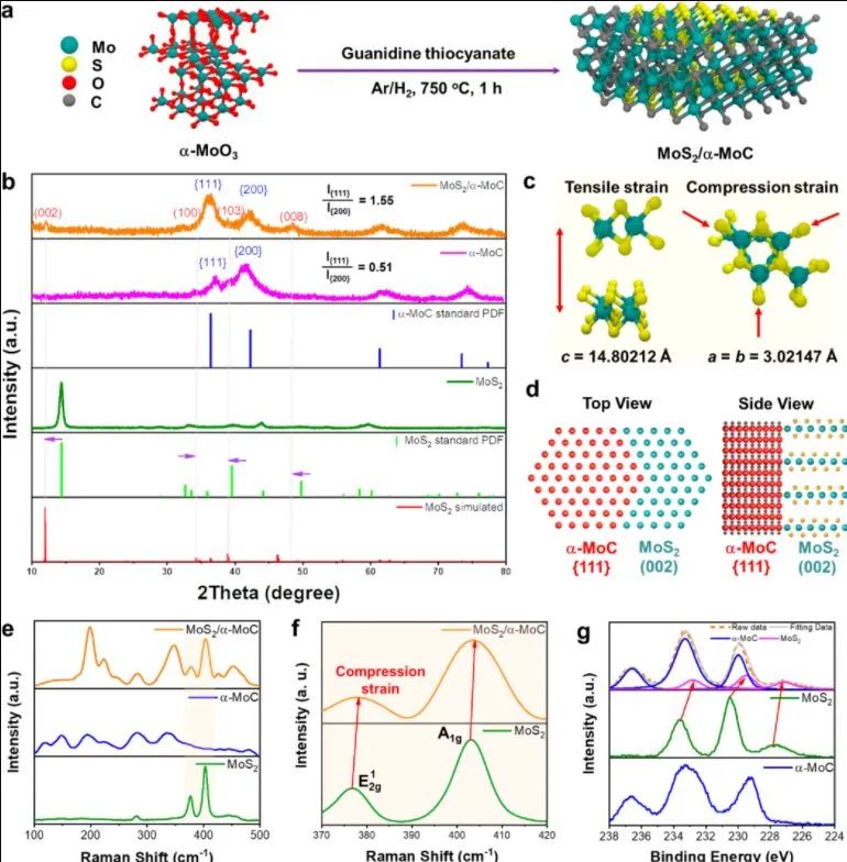 催化日報：AM/AFM/Small/ACS Nano/Chem. Eng. J.等最新催化成果