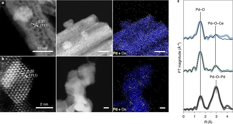 單原子催化領域，再獲一篇Nature Catalysis！