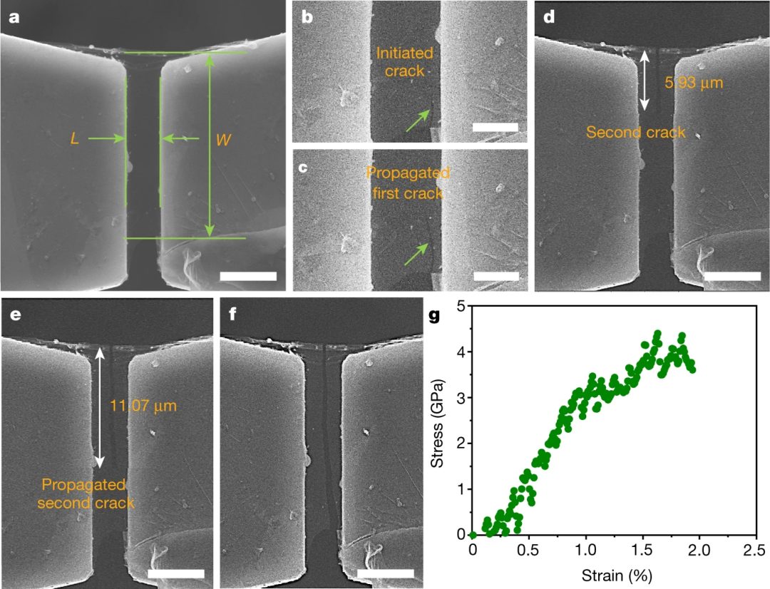 最新Nature：四院院士和Materials Today主編聯(lián)手挑戰(zhàn)經(jīng)典！