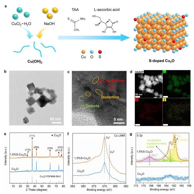 計算成果，8篇頂刊：Nature子刊、Angew、JACS、EES、AM、AFM等！