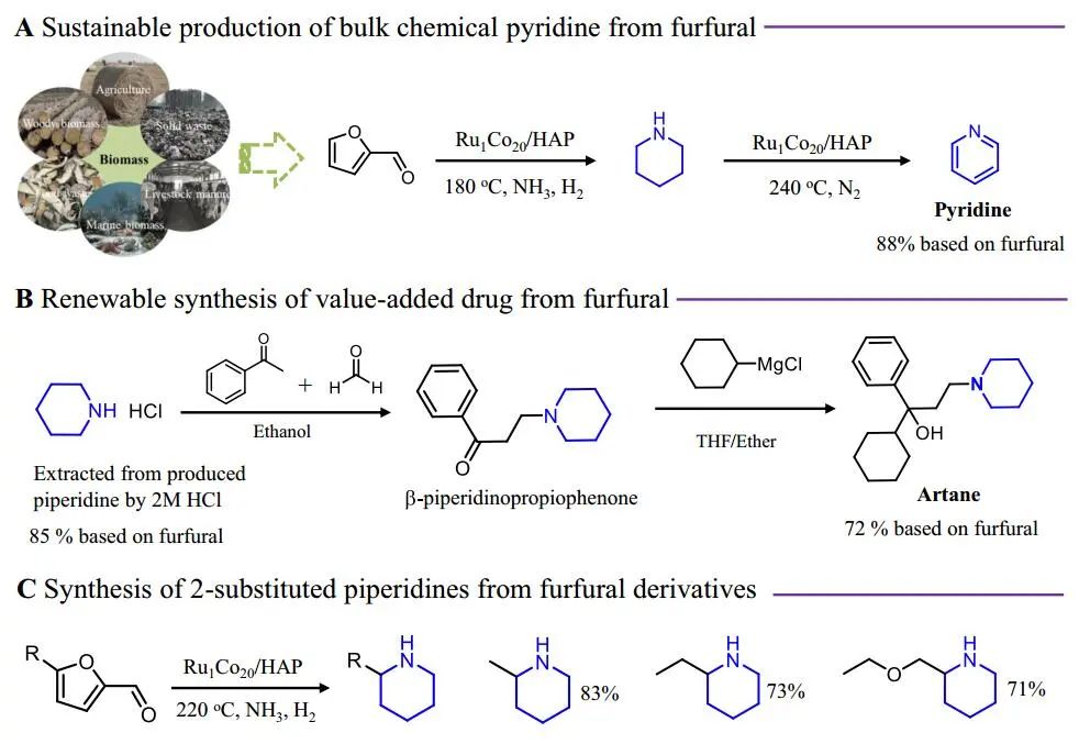 Nature子刊：Ru1CoNP/HAP SSAA催化糠醛合成哌啶和吡啶